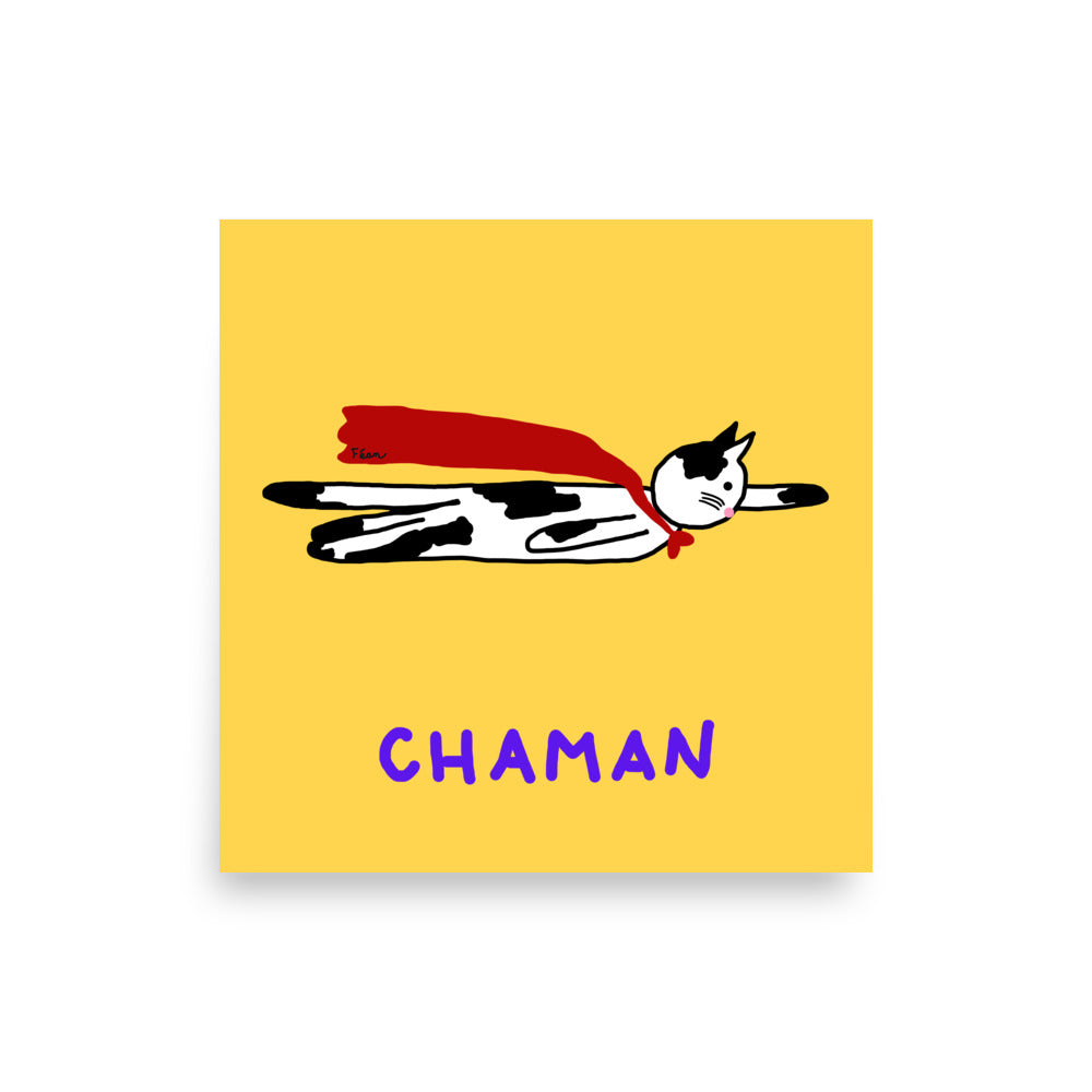 Poster "chaman"