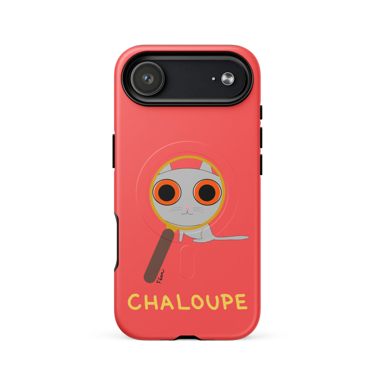Accessoires