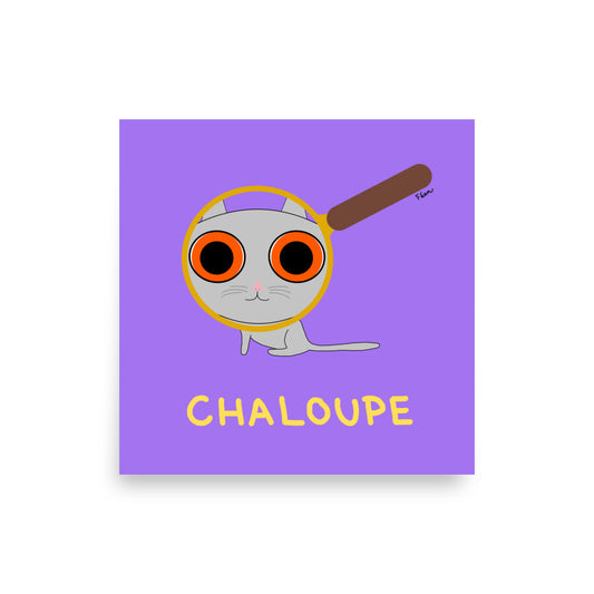 Affiche carrée violette Motdules avec une caricature graphique d'un chat gris regardant à travers une loupe grossissante, titre Chaloupe écrit en vert.