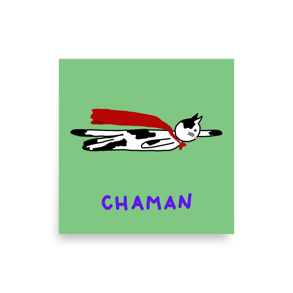 Affiche carrée verte Motdules représentant un chat noir et blanc volant comme un super-héros avec une cape rouge, texte Chaman violet.