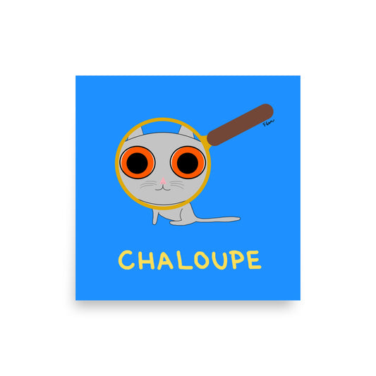 Affiche carrée bleue Motdules avec un chat gris regardant à travers une loupe grossissante, titre Chaloupe écrit en jaune.
