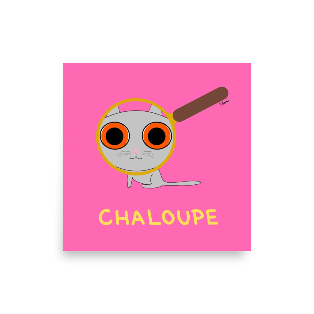 Poster "chaloupe"