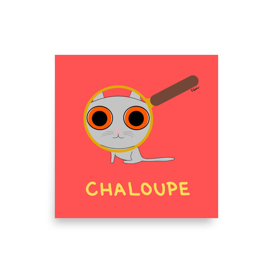 Affiche carrée rouge Motdules avec un chat gris regardant à travers une loupe grossissante, titre Chaloupe écrit en jaune.