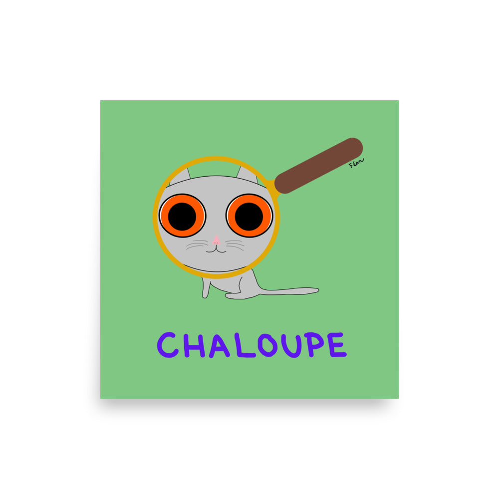 Affiche carrée verte Motdules avec un chat gris regardant à travers une loupe grossissante, titre Chaloupe écrit en violet.